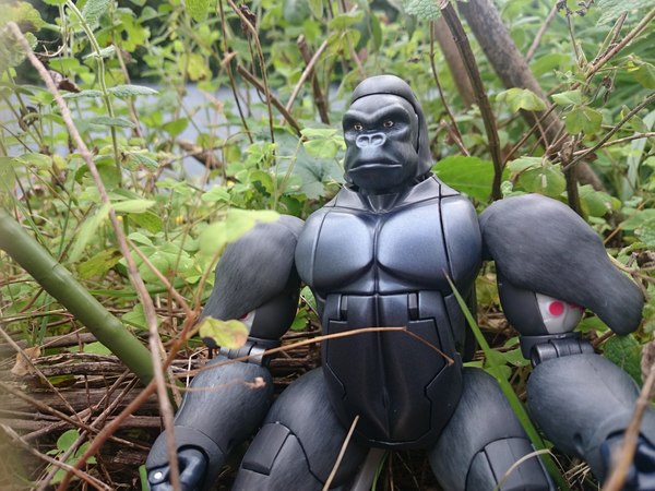 Masterpiece MP 32 Optimus Primal First In Hand Photos 06 (6 of 12)
